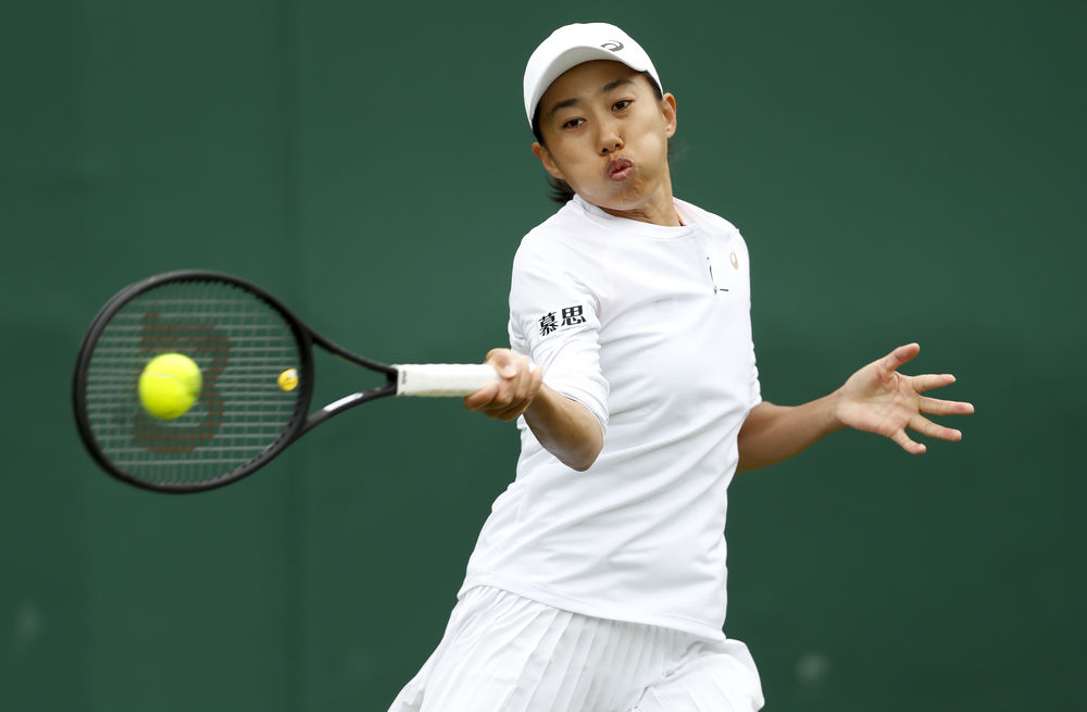 具备更好的 具备更好的