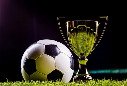 场上闪耀 场上闪耀