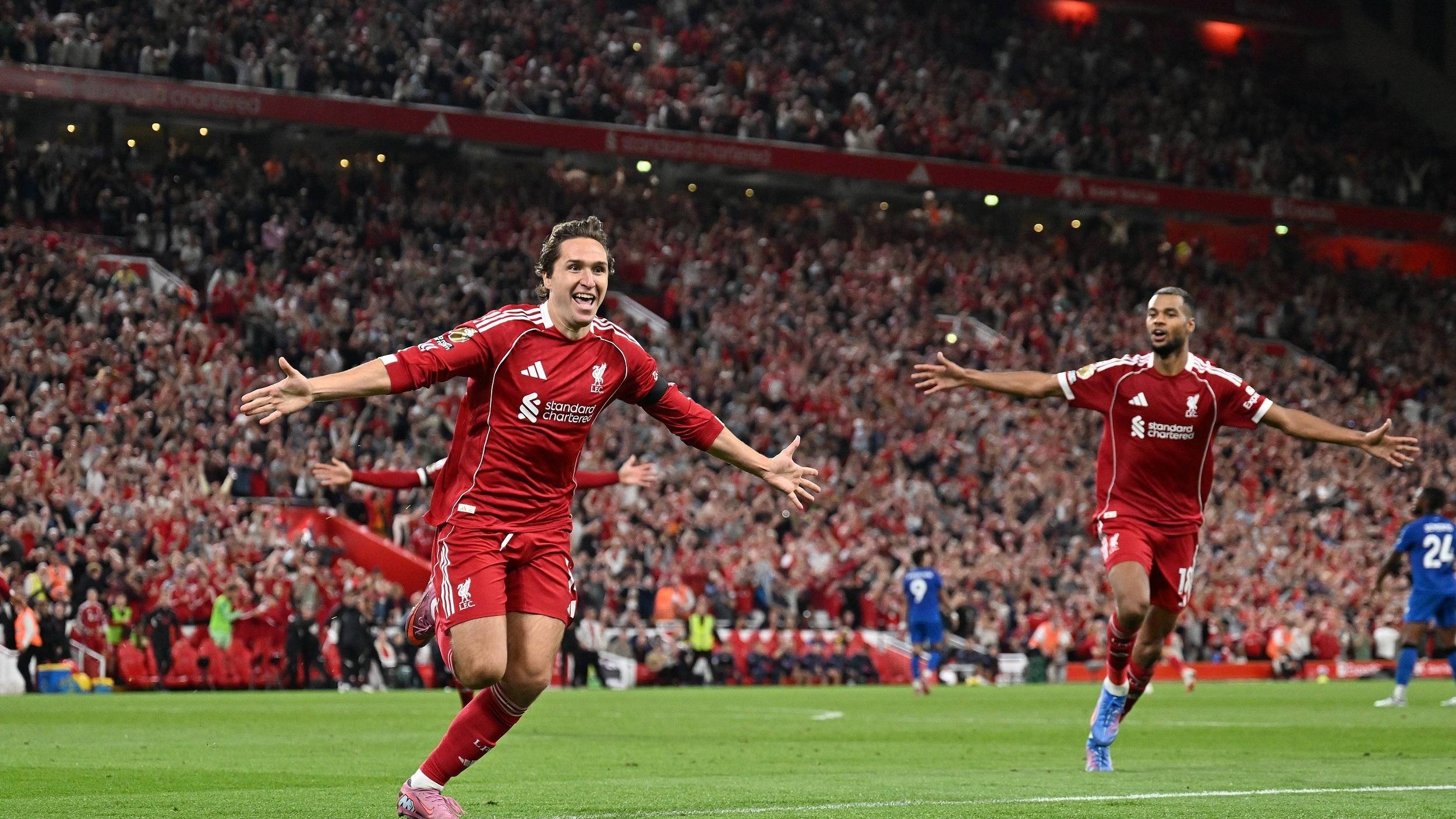 这也是许多 这也是许多